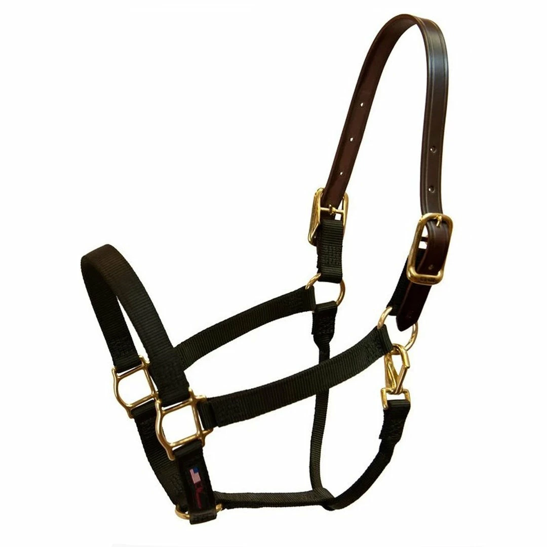 Budget 😍 Halters & Leads Walsh Breakaway 1" Halter With Straight Chin ⭐ 3 Halters & Leads Walsh Breakaway 1" Halter With Straight Chin