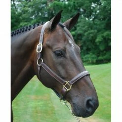 Halters & Leads Red Barn By KL Select Halter Crown Replacement