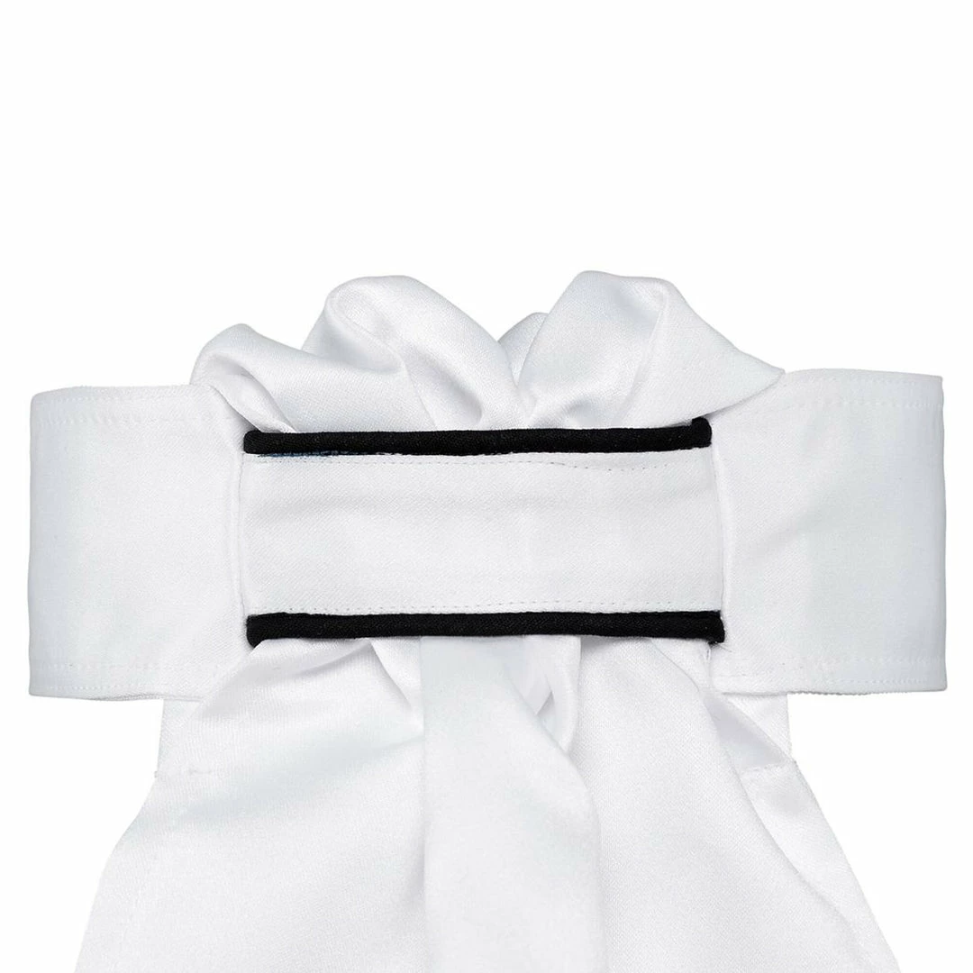 Promo 🤩 Equestrian Accessories All Tied Up Plain Jane Stock Ties ⭐ 8 Equestrian Accessories All Tied Up Plain Jane Stock Ties