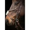 Promo 😉 English Bridles Nunn Finer Gag Hanger 😍 1 English Bridles Nunn Finer Gag Hanger