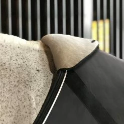 Best reviews of ❤️ Equifit Withershield Horse Blankets & Stable Sheets ❤️ 9 Equifit Withershield Horse Blankets & Stable Sheets