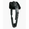 Buy 👏 Walsh PCN Training Surcingle With Pad Horse Training Equipment ✨ 1 Walsh PCN Training Surcingle With Pad Horse Training Equipment