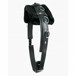 Walsh PCN Training Surcingle With Pad Horse Training Equipment