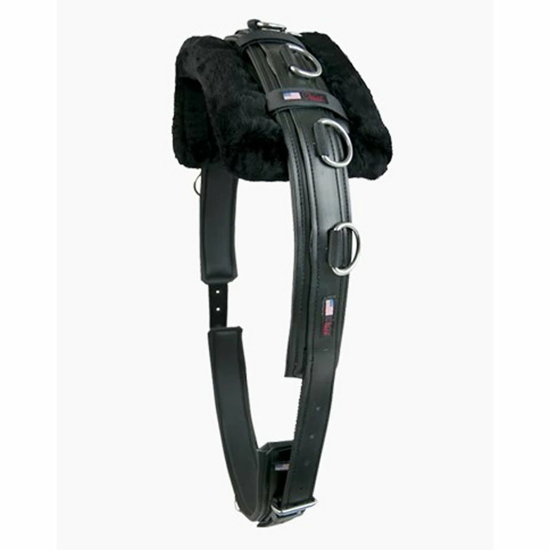 Buy 👏 Walsh PCN Training Surcingle With Pad Horse Training Equipment ✨ 3 Walsh PCN Training Surcingle With Pad Horse Training Equipment
