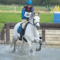 Best Sale 🛒 Shires Equestrian Products Number Bib Equestrian Accessories ✔️ 7 Shires Equestrian Products Number Bib Equestrian Accessories