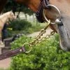 Best reviews of 😀 Nunn Finer Newmarket Shank Halters & Leads 💯 2 Nunn Finer Newmarket Shank Halters & Leads