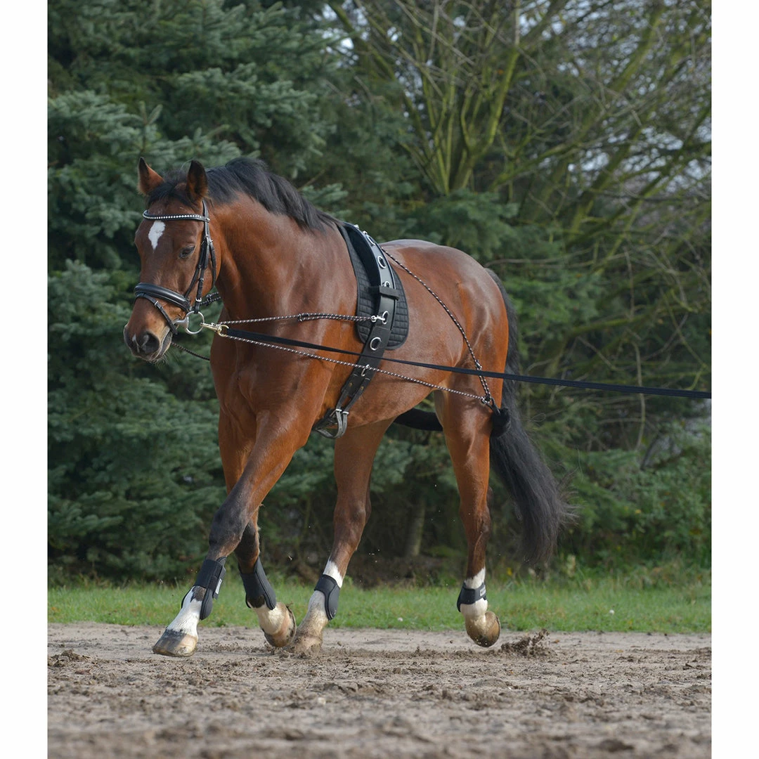 Hot Sale 👍 Waldhausen Lunging System ❤️ 4 Waldhausen Lunging System