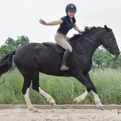 Promo 👍 ThinLine Trifecta Comfort Bareback Saddle Pad Saddle Pads & Fittings 👏 10 ThinLine Trifecta Comfort Bareback Saddle Pad Saddle Pads & Fittings