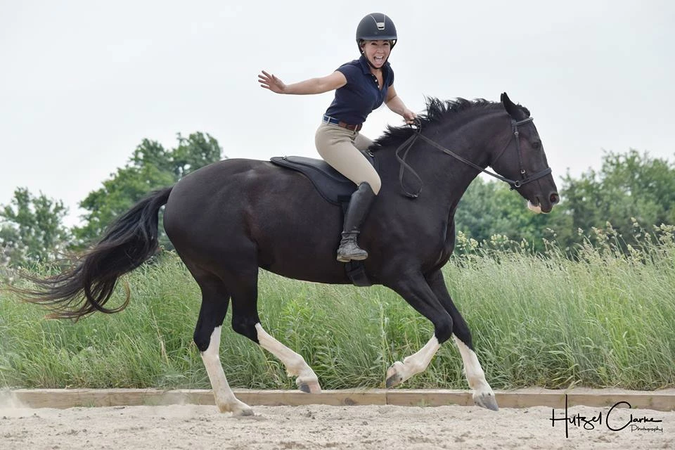 Promo 👍 ThinLine Trifecta Comfort Bareback Saddle Pad Saddle Pads & Fittings 👏 6 ThinLine Trifecta Comfort Bareback Saddle Pad Saddle Pads & Fittings