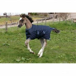 Cheapest 🎁 Horseware Amigo Ripstop Foal Turnout 200g Medium Horse Blankets & Stable Sheets 😀 7 Horseware Amigo Ripstop Foal Turnout 200g Medium Horse Blankets & Stable Sheets