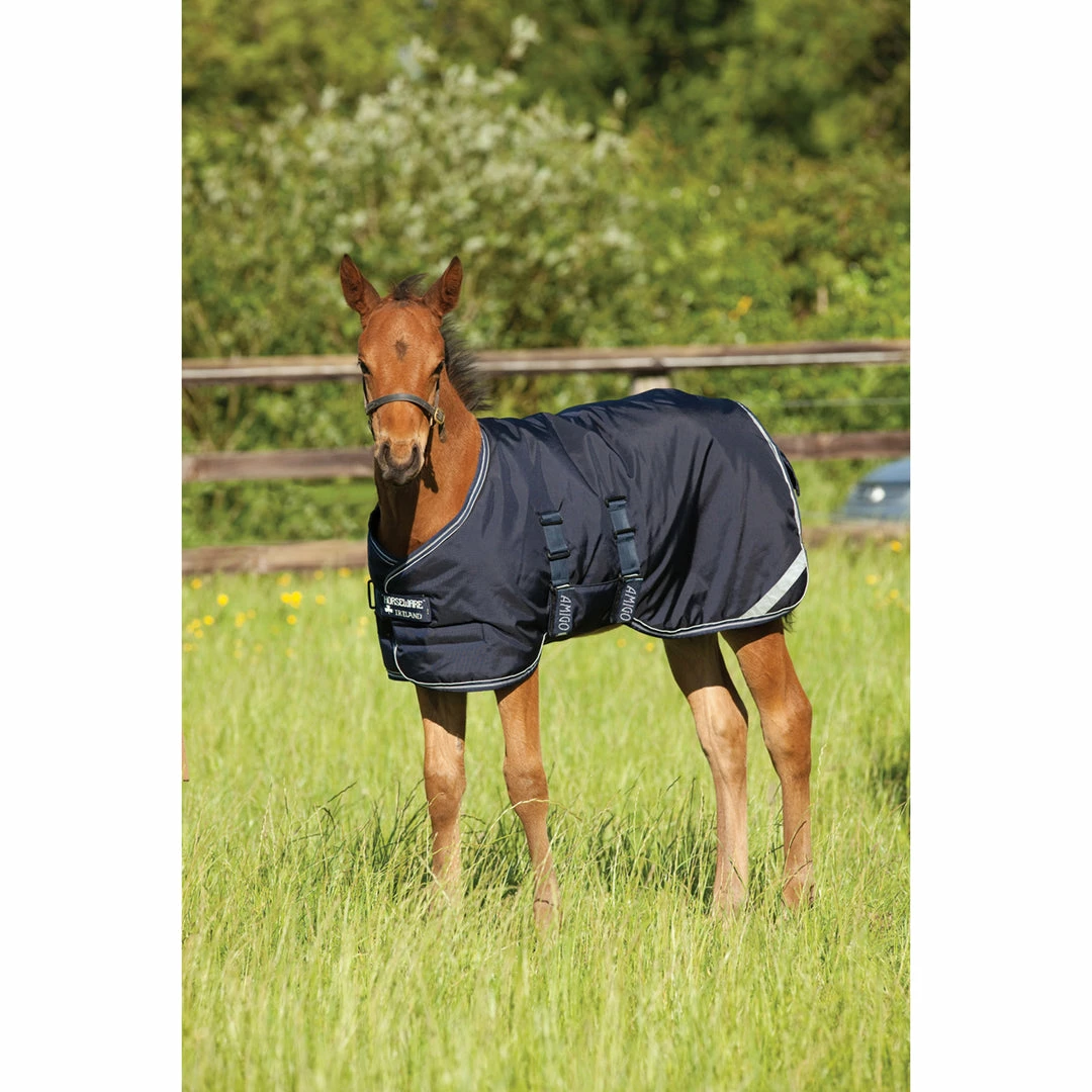 Cheapest 🎁 Horseware Amigo Ripstop Foal Turnout 200g Medium Horse Blankets & Stable Sheets 😀 4 Horseware Amigo Ripstop Foal Turnout 200g Medium Horse Blankets & Stable Sheets