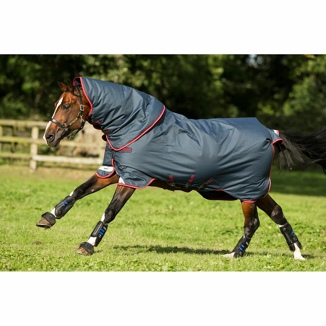 Cheap 🔥 Horseware Amigo Bravo 12 Plus 250g Medium-Sale 👏 3 Horseware Amigo Bravo 12 Plus 250g Medium-Sale