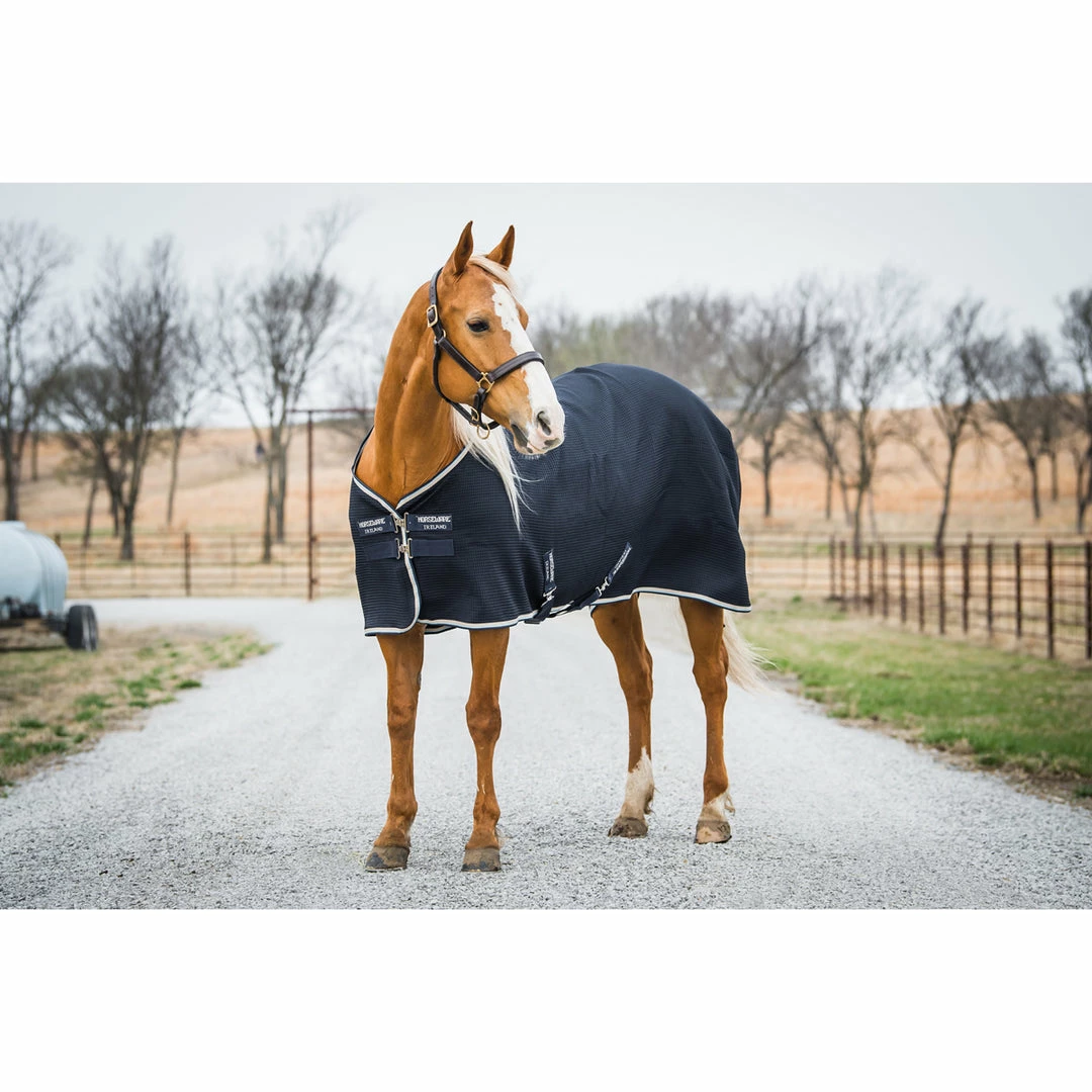 Buy ๐ Horseware Rambo Techni-Waffle Cooler โ๏ธ 5 Horseware Rambo Techni-Waffle Cooler