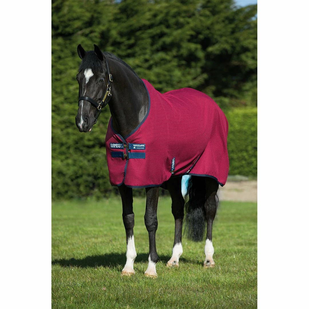 Buy ๐ Horseware Rambo Techni-Waffle Cooler โ๏ธ 3 Horseware Rambo Techni-Waffle Cooler