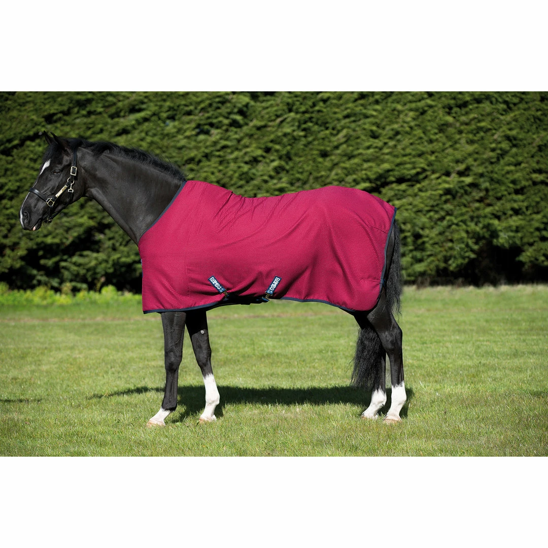 Buy ๐ Horseware Rambo Techni-Waffle Cooler โ๏ธ 4 Horseware Rambo Techni-Waffle Cooler