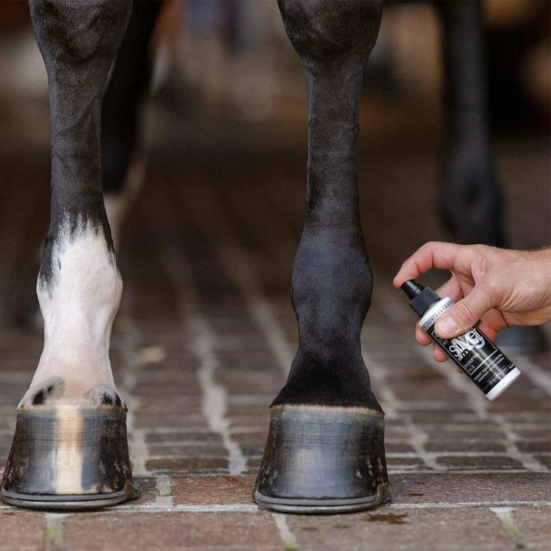 Flash Sale 😉 EquiFit AG Silver Wound Spray ❤️ 4 EquiFit AG Silver Wound Spray