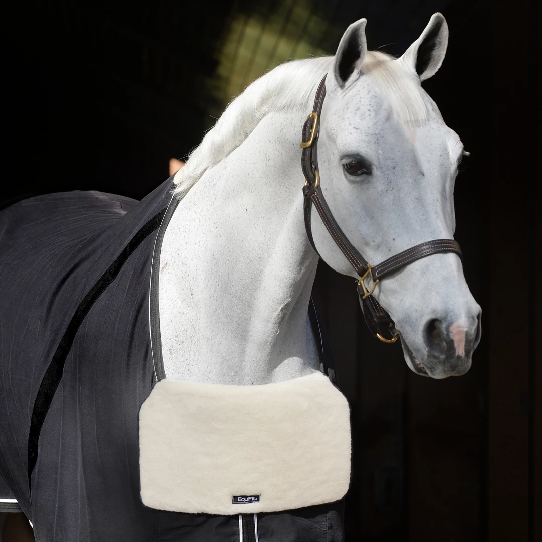 Buy ⭐ Equifit BlanketBib Horse Blankets & Stable Sheets ✔️ 3 Equifit BlanketBib Horse Blankets & Stable Sheets