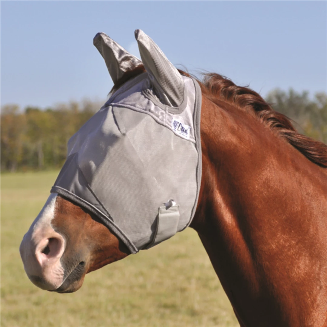 Discount 😍 Cashel Crusader Standard Fly Mask 🎉 4 Cashel Crusader Standard Fly Mask