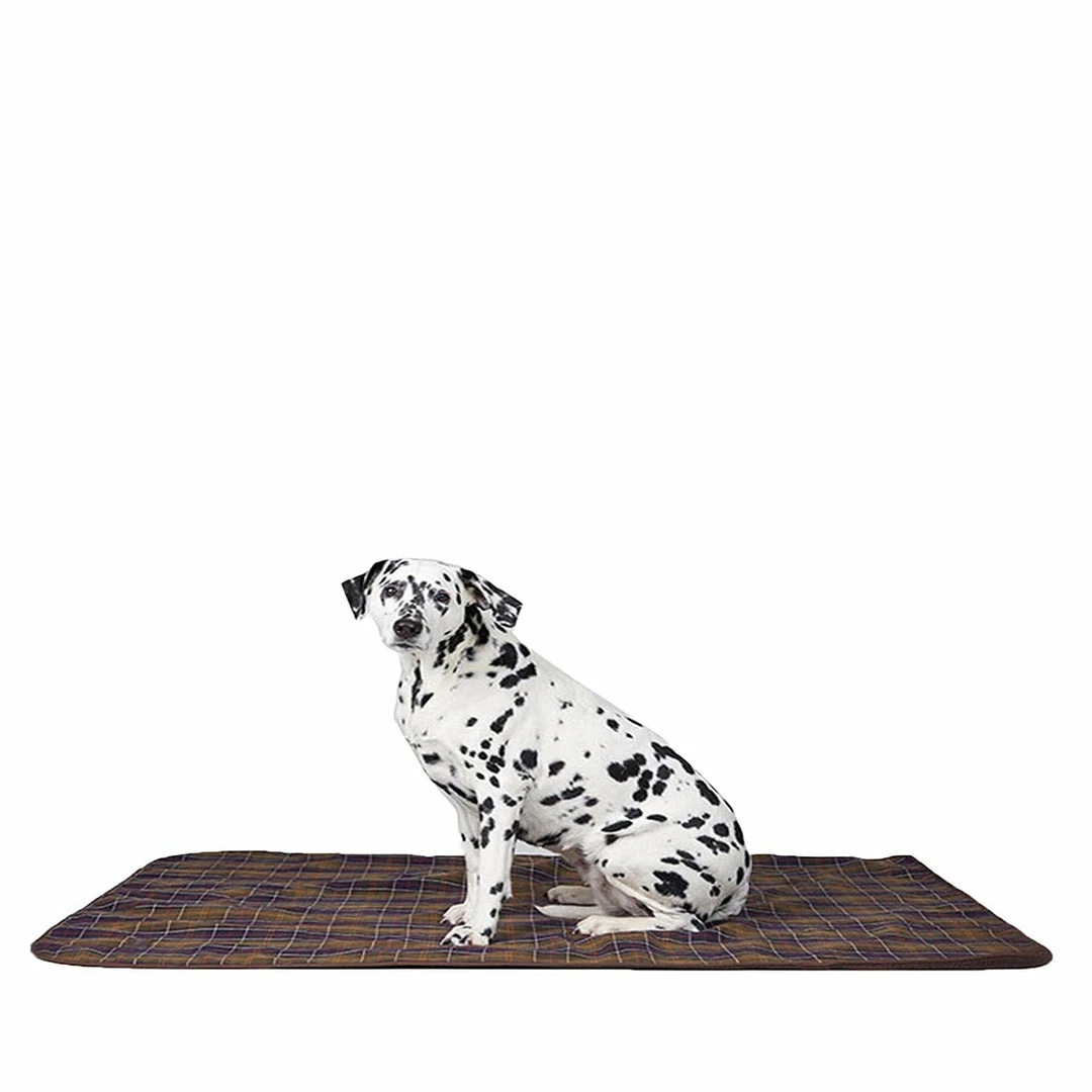 Flash Sale 🎁 Horse Blankets & Stable Sheets Barbour Large 🐶 Dog Blanket ✔️ 3 Horse Blankets & Stable Sheets Barbour Large Dog Blanket