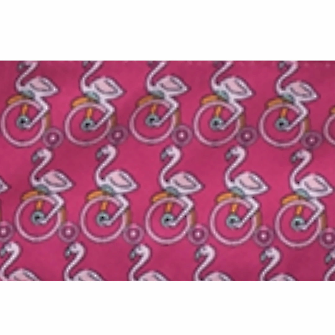 Buy 🌟 Show 👚 Shirts Essex Classics Ladies "Zoomin' Flamingos" Talent Yarn Straight Long Sleeve Collar Show 👚 Shirt 🎉 4 Show Shirts Essex Classics Ladies "Zoomin' Flamingos" Talent Yarn Straight Long Sleeve Collar Show Shirt