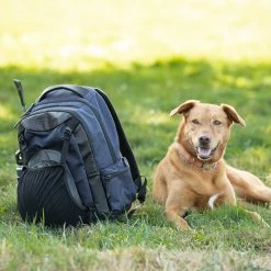 Coupon ๐งจ Kerrits EQ ๐ Backpack ๐ 22 Kerrits EQ Backpack