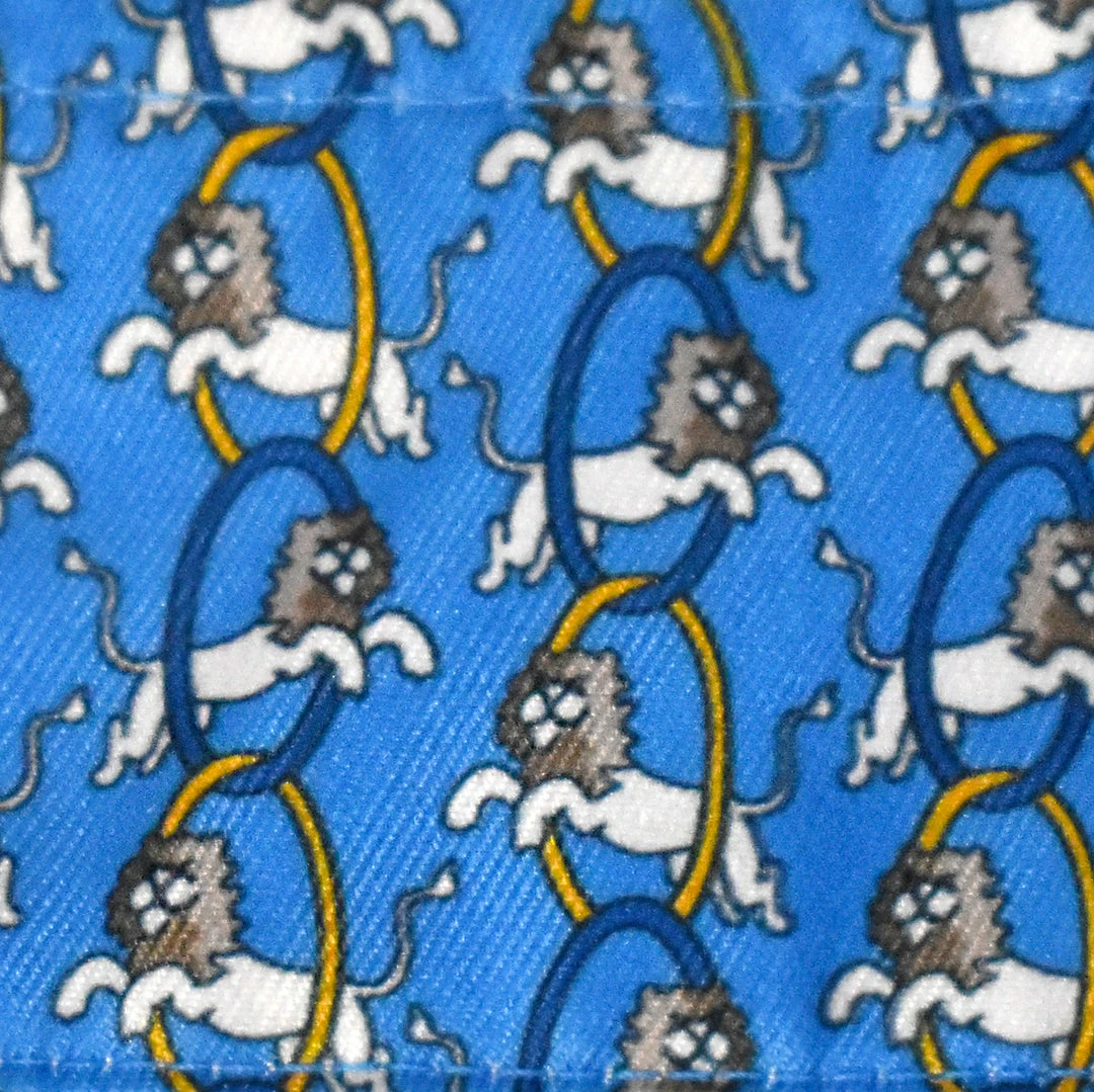 Best Pirce 🤩 Essex Classics Ladies "Lions" Talent Yarn Straight Collar Long Sleeve Show 👕 Shirt Show 👕 Shirts 🎁 8 Essex Classics Ladies "Lions" Talent Yarn Straight Collar Long Sleeve Show Shirt Show Shirts