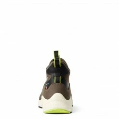 Riding Boots & Half Chaps Ariat Women's Ignite Chelsea Waterproof Boot