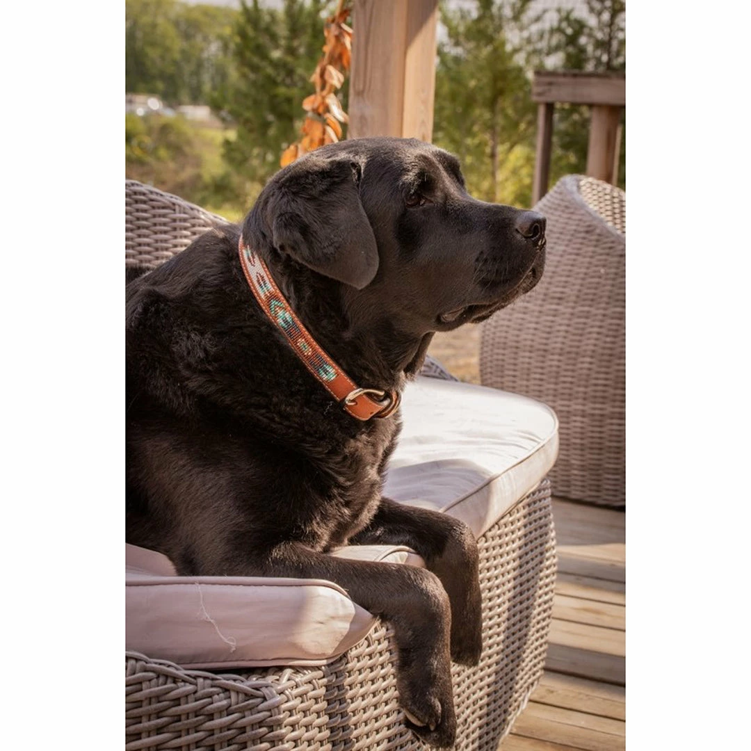 Promo ✔️ French Equestrian Penelope Pearl 🐶 Dog Collar ⭐ 12 French Equestrian Penelope Pearl Dog Collar