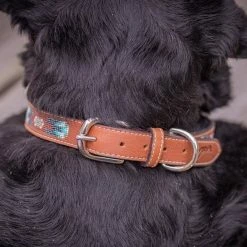 Promo ✔️ French Equestrian Penelope Pearl 🐶 Dog Collar ⭐ 25 French Equestrian Penelope Pearl Dog Collar