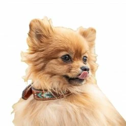 Promo ✔️ French Equestrian Penelope Pearl 🐶 Dog Collar ⭐ 20 French Equestrian Penelope Pearl Dog Collar