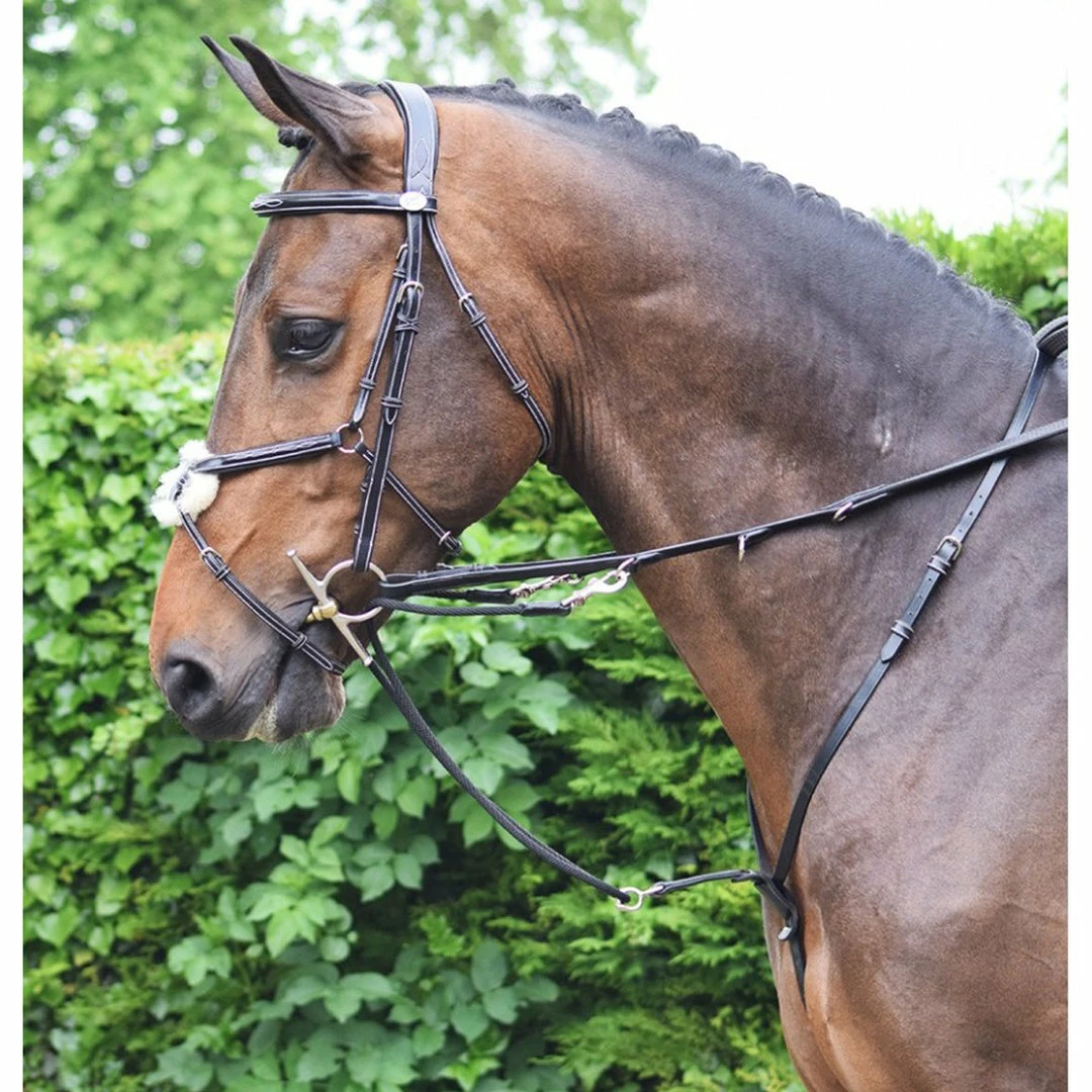 Top 10 😍 French Equestrian Jump'in Howlett Training Aid - Week Collection Horse Training Equipment ❤️ 4 French Equestrian Jump'in Howlett Training Aid - Week Collection Horse Training Equipment