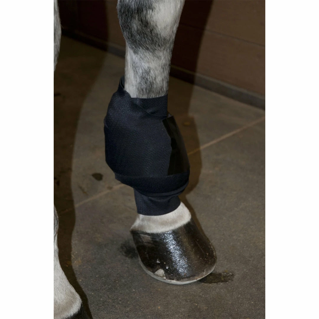 Deals 🤩 Ice Horse All-Purpose Ice Wrap Therapeutic Horse 🥾 Boots & Wraps 🥰 3 Ice Horse All-Purpose Ice Wrap Therapeutic Horse Boots & Wraps