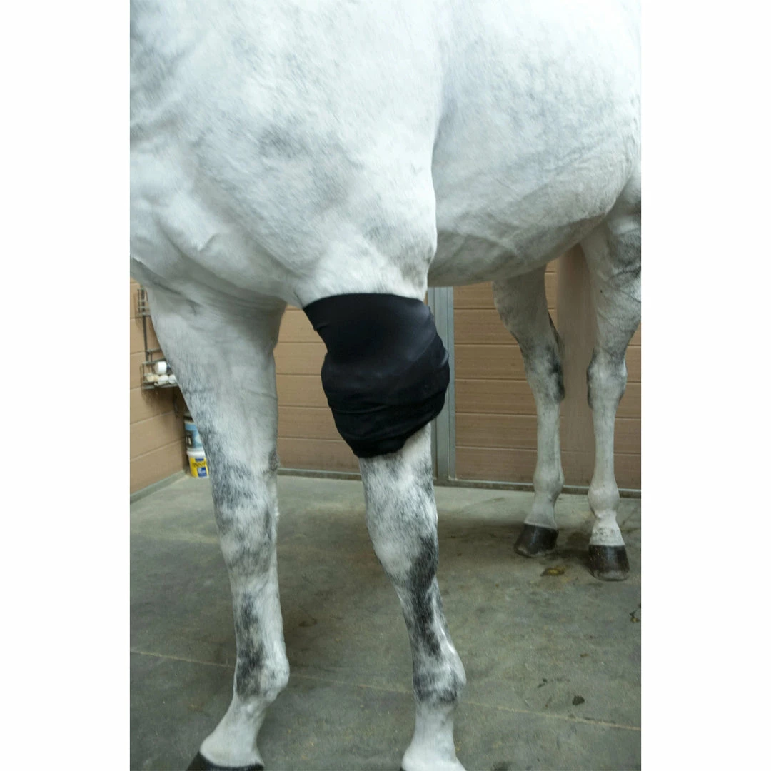 Deals 🤩 Ice Horse All-Purpose Ice Wrap Therapeutic Horse 🥾 Boots & Wraps 🥰 6 Ice Horse All-Purpose Ice Wrap Therapeutic Horse Boots & Wraps
