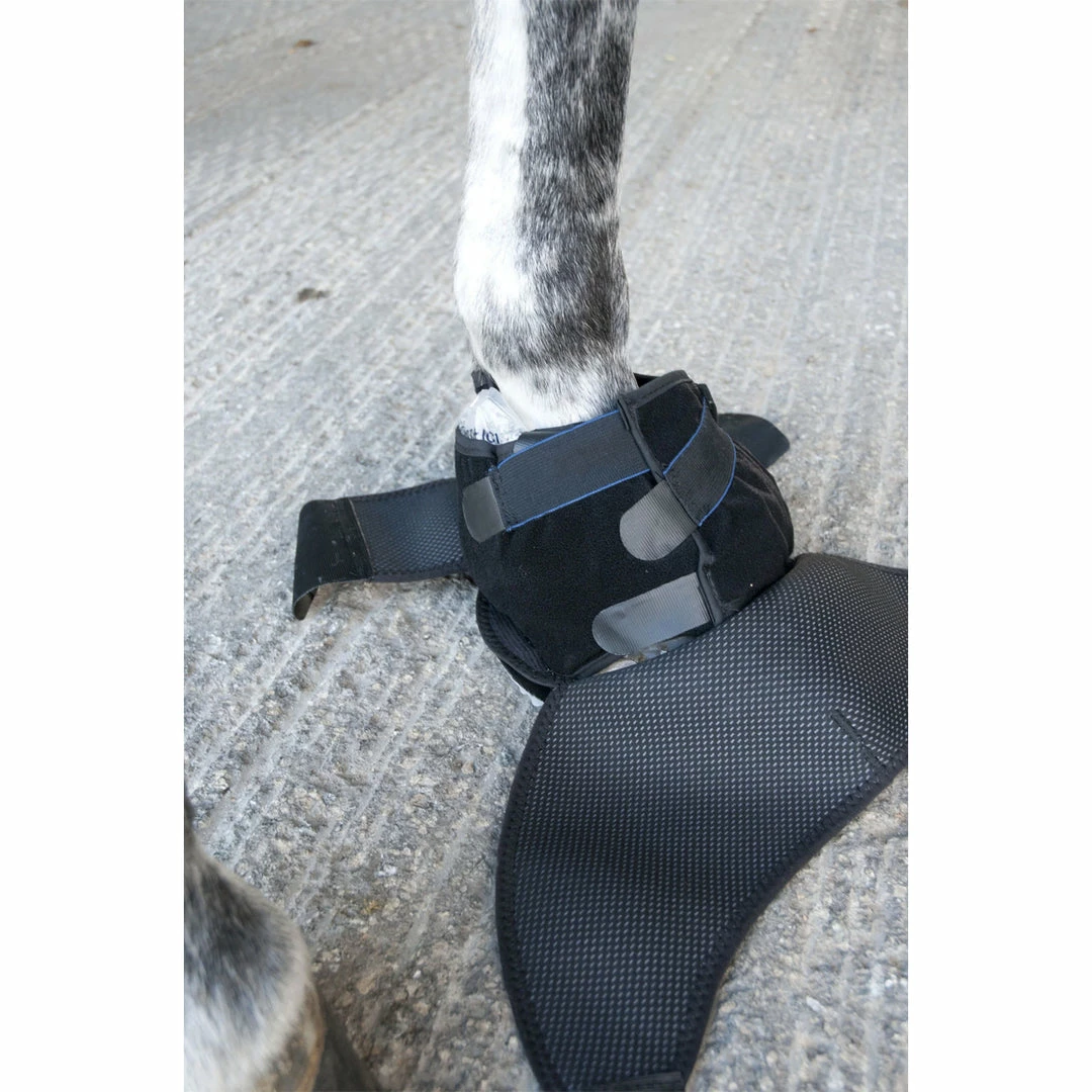 Budget 💯 Ice Horse Hoof Ice Boot Grooming 👏 11 Ice Horse Hoof Ice Boot Grooming