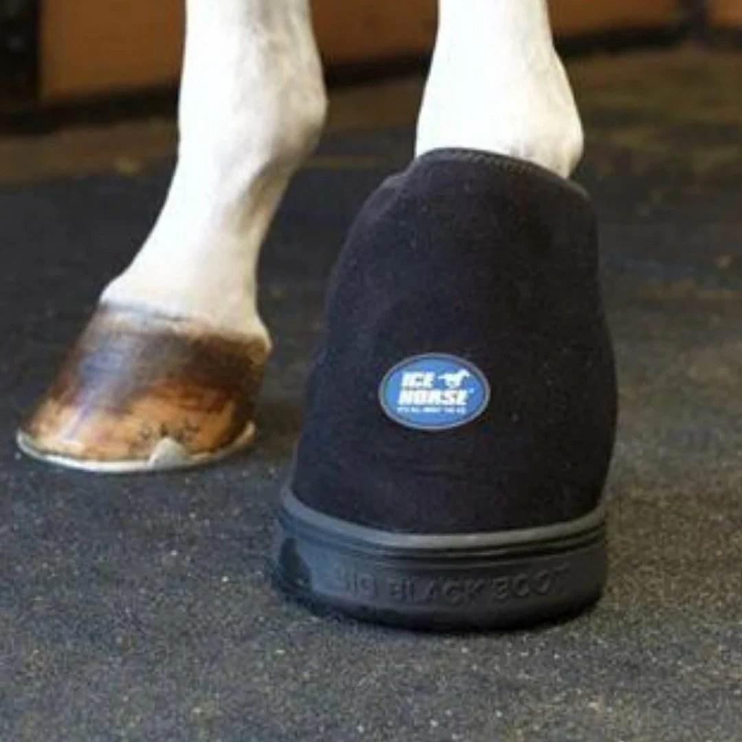 Budget 💯 Ice Horse Hoof Ice Boot Grooming 👏 6 Ice Horse Hoof Ice Boot Grooming