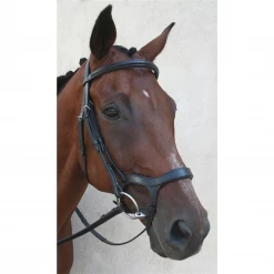 Nunn Finer Innovativo Shaped Bridle English Bridles