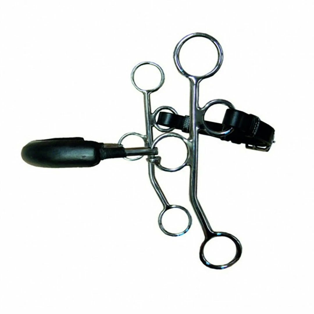 Budget ❤️ French Equestrian Horse Bits Jump'in Long Shank Rigid Hackamore 🤩 3 French Equestrian Horse Bits Jump'in Long Shank Rigid Hackamore