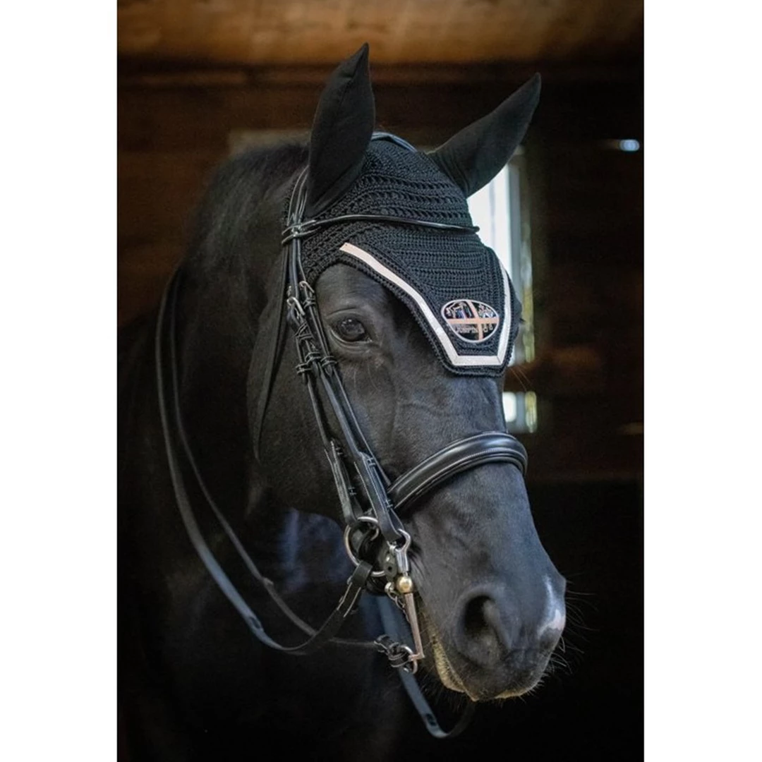 New ❤️ French Equestrian English Bridles Jump'in Patent Double Bridle - Week Collection 🧨 4 French Equestrian English Bridles Jump'in Patent Double Bridle - Week Collection