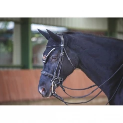 New ❤️ French Equestrian English Bridles Jump'in Patent Double Bridle - Week Collection 🧨 7 French Equestrian English Bridles Jump'in Patent Double Bridle - Week Collection
