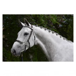 French Equestrian English Bridles Jump'in Hackamore Bridle - Week Collection