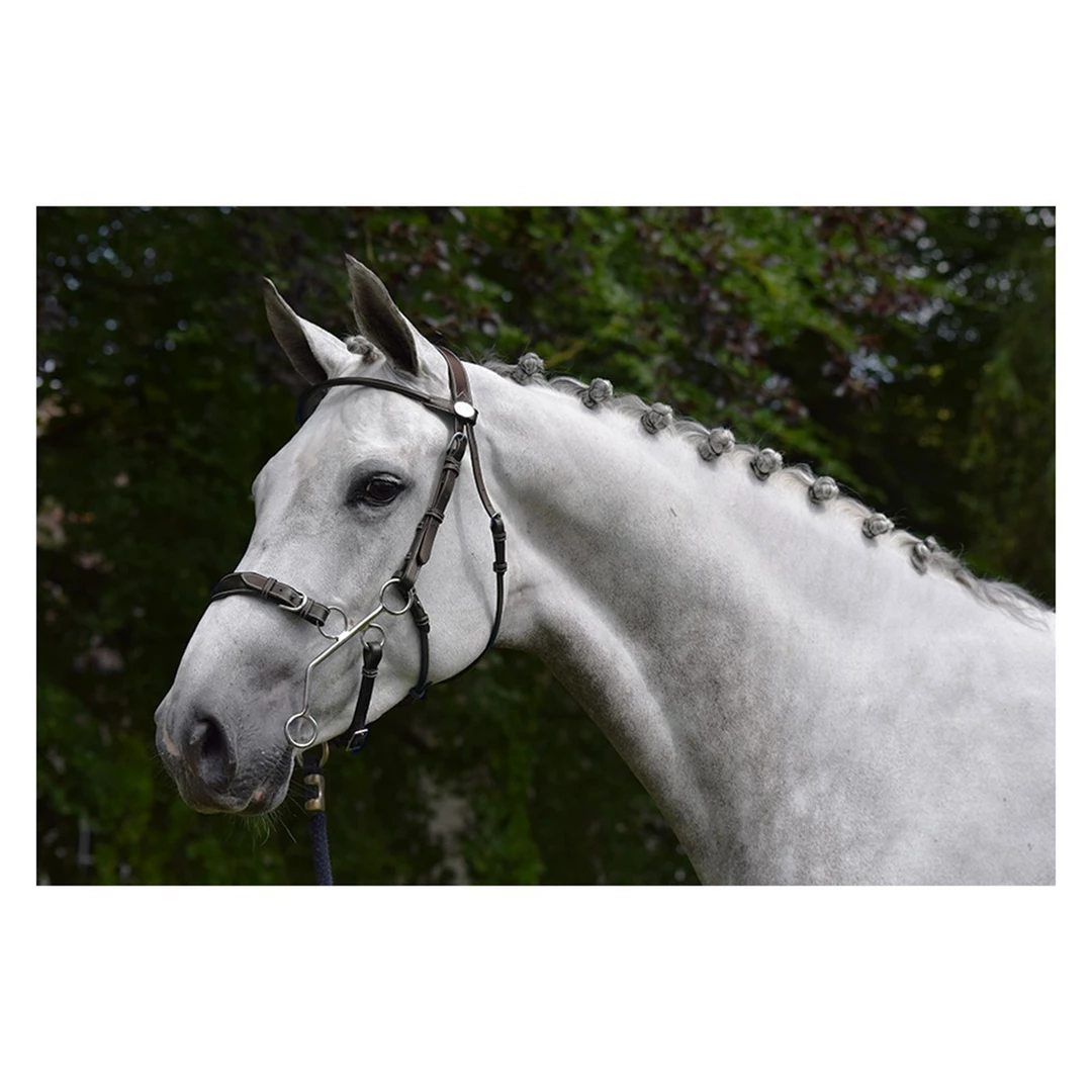 Coupon ๐ French Equestrian English Bridles Jump'in Hackamore Bridle - Week Collection ๐ฏ 3 French Equestrian English Bridles Jump'in Hackamore Bridle - Week Collection