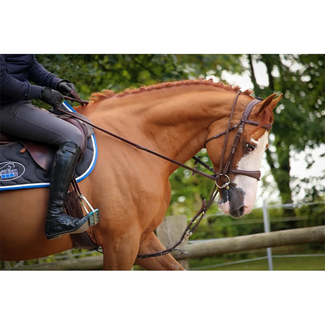 Buy 🔥 French Equestrian Horse Training Equipment Jump'in Patrick Training Aid 🎉 3 French Equestrian Horse Training Equipment Jump'in Patrick Training Aid