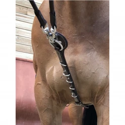 Buy 🔥 French Equestrian Horse Training Equipment Jump'in Patrick Training Aid 🎉 8 French Equestrian Horse Training Equipment Jump'in Patrick Training Aid