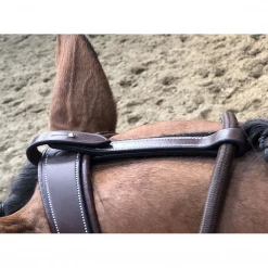 Buy 🔥 French Equestrian Horse Training Equipment Jump'in Patrick Training Aid 🎉 9 French Equestrian Horse Training Equipment Jump'in Patrick Training Aid