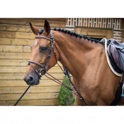 French Equestrian Jump'in De Gogue - One Collection