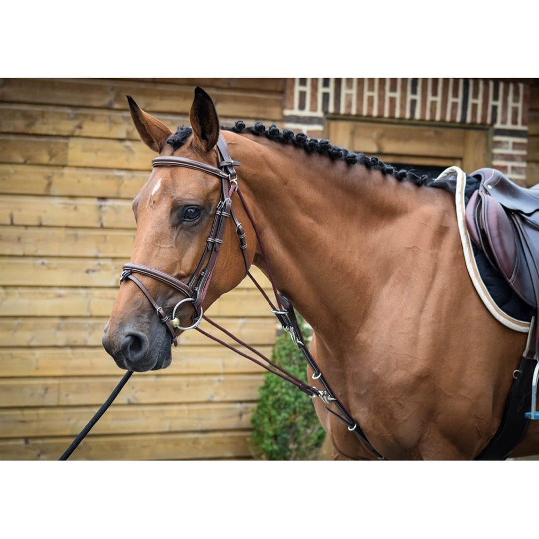 Outlet 🛒 French Equestrian Jump'in De Gogue - One Collection 💯 3 French Equestrian Jump'in De Gogue - One Collection