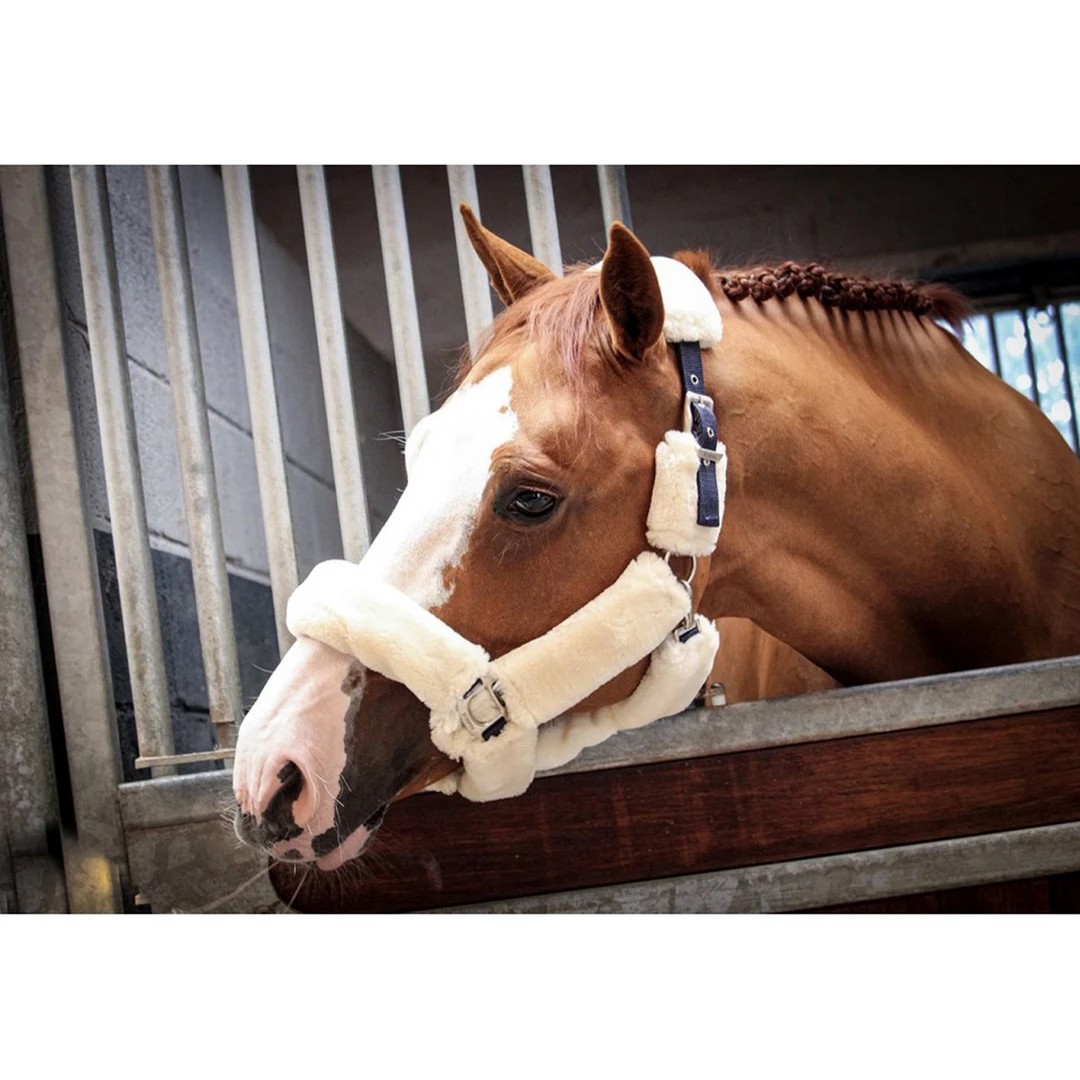 Best reviews of 🎁 French Equestrian Jump' In Soft Halter - One Collection ✨ 4 French Equestrian Jump' In Soft Halter - One Collection