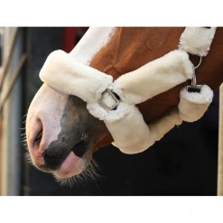 Best reviews of 🎁 French Equestrian Jump' In Soft Halter - One Collection ✨ 10 French Equestrian Jump' In Soft Halter - One Collection