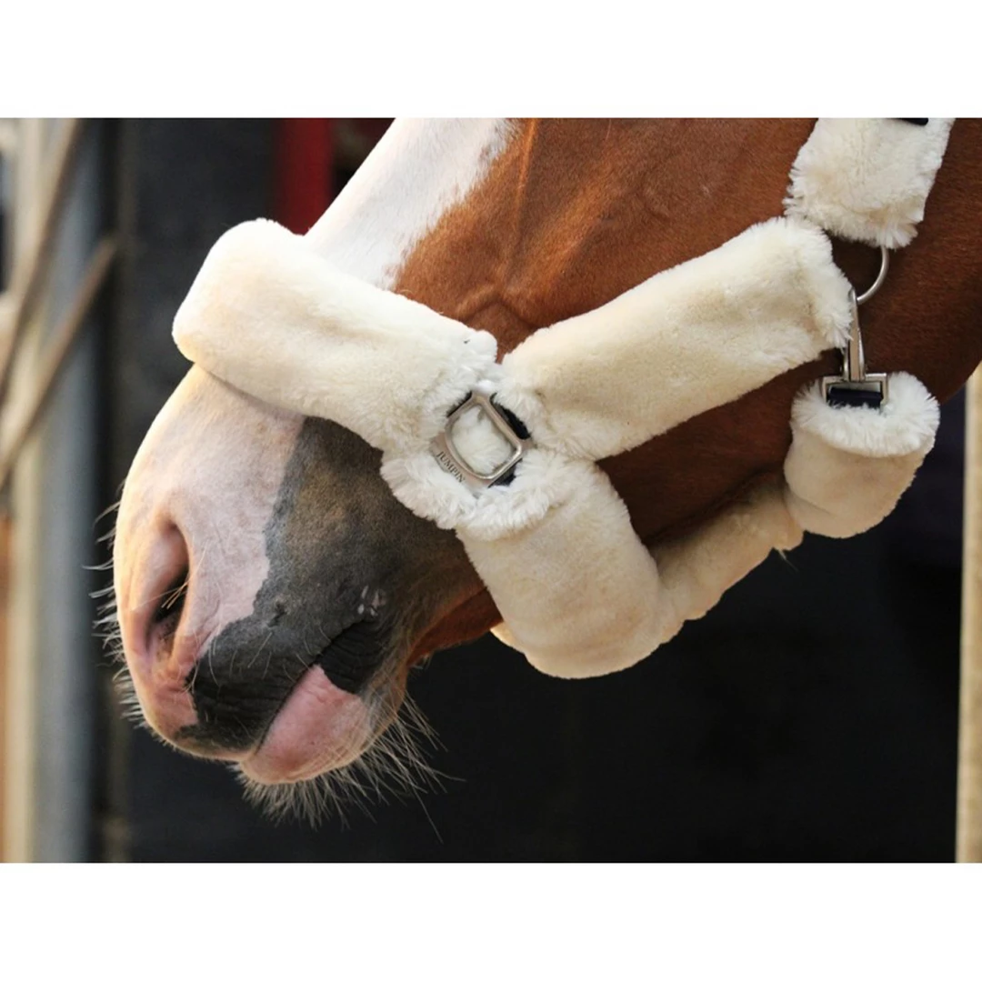 Best reviews of 🎁 French Equestrian Jump' In Soft Halter - One Collection ✨ 5 French Equestrian Jump' In Soft Halter - One Collection