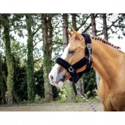 Best reviews of 🎁 French Equestrian Jump' In Soft Halter - One Collection ✨ 13 French Equestrian Jump' In Soft Halter - One Collection